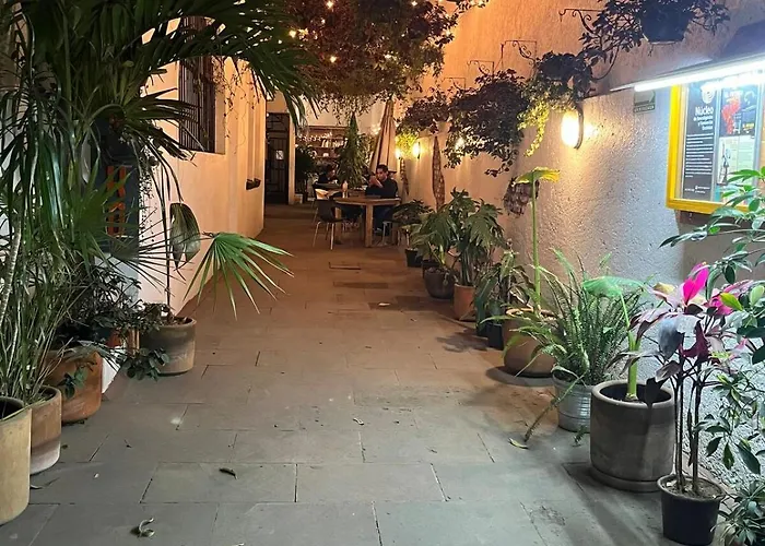 Mini Loft With A Small Terrace En Condesa