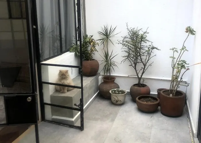 Mini Loft With A Small Terrace En Condesa